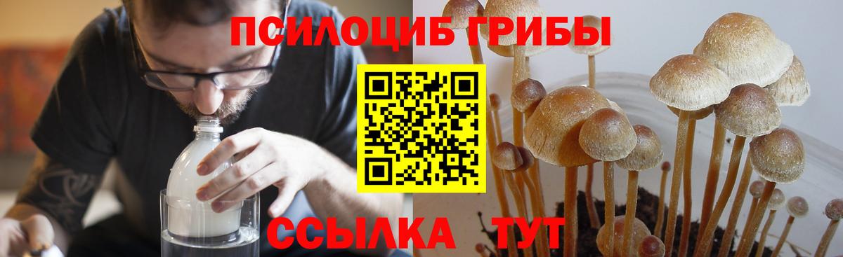 Псилоцибиновые грибы ЛСД  Галлюциногенные грибы прущие грибы  Вход с VPN  Южноуральск 